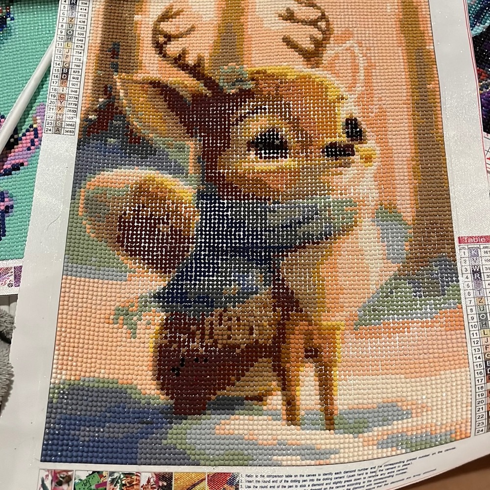 Completed Diamond Painting